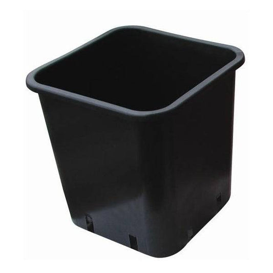 Vaso quadro 11L - 22x22x26cm - 420 Farm