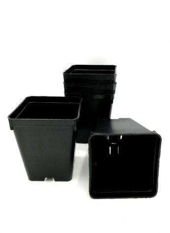 Vaso quadro 7x7x8cm - 420 Farm