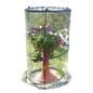 Verdemax - Serra Pop-up Anthurium cm 70xh110