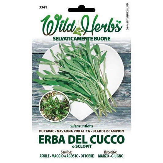 Wild Herbs - Semi Erba del Cucco - Sem. Dotto - 420 Farm